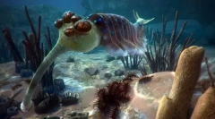 Животни cambria