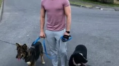 Ѕвездите покажуваат бизнис кој им помага на бездомни животни